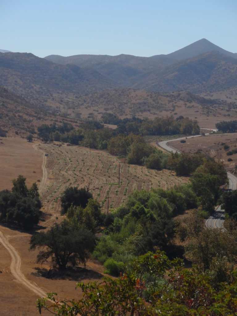 River Partners is expanding an important wildlife corridor on the California Department of Fish and Wildlife’s Hollenbeck Wildlife Management Area and Rancho Jamul Ecological Preserve in San Diego, CA.