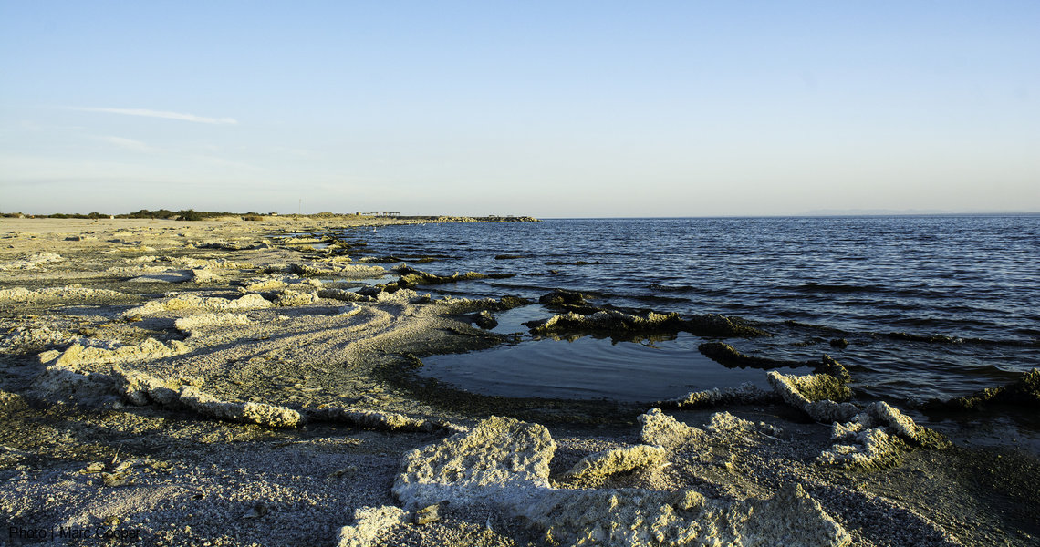 The disappearing Salton Sea (photo courtesy of Marc Cooper, public domain). 