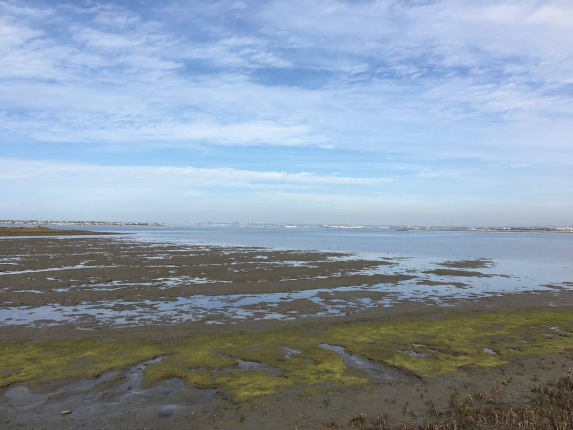 Bay view from the San Diego National Wildlife Refuge (photo courtesy of Emily Clark).