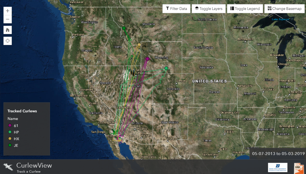 Map of curlews banded in the intermountain west and resighted in Mexico.