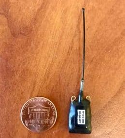 The Lotek Pinpoint GPS unit used for this study are roughly the size of a penny and weigh 1g.