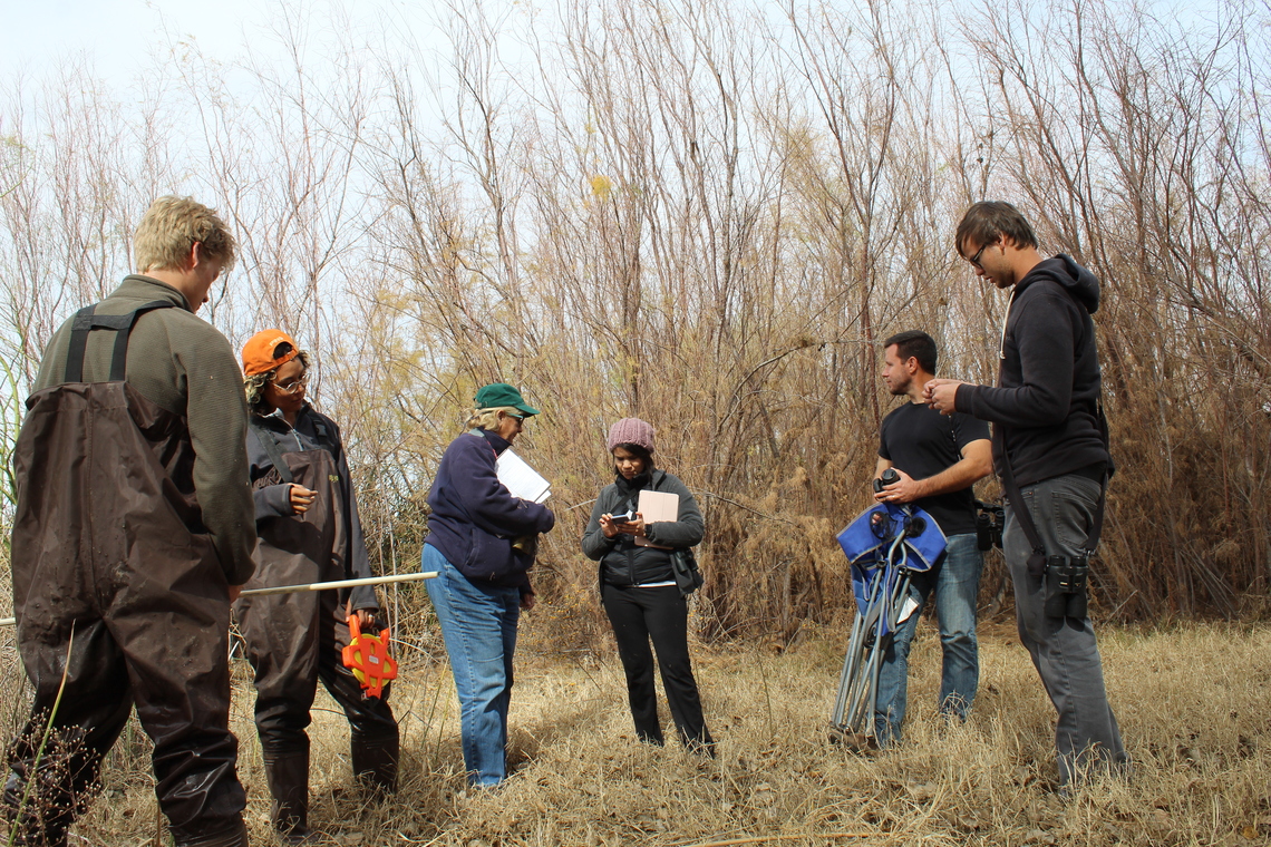 Audubon Arizona staff and interns ground-truth emergent marsh vegetation in order to train the model.