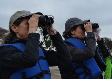  Offered trips include wildlife kayaking and much more (photo by San Diego Audubon Society).