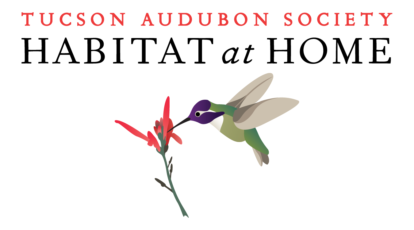Help support birds and other wildlife through beautiful, water-saving, “naturescaping” with Habitat at Home, and create a yard that is a part of something bigger (graphic by Tucson Audubon Society).