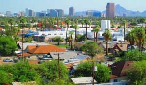 The Urban Forest of Phoenix, AZ (photo by Arizona Department of Forestry and Fire Management).