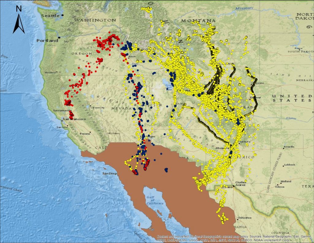 Supporting Cranes in the Arid Southwest - Sonoran Joint Venture