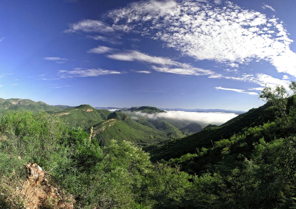 Vista de la Reserva Jaguar del Norte desde El Huijalo, México, el sitio de un proyecto NMBCA (foto de Miguel Gómez).