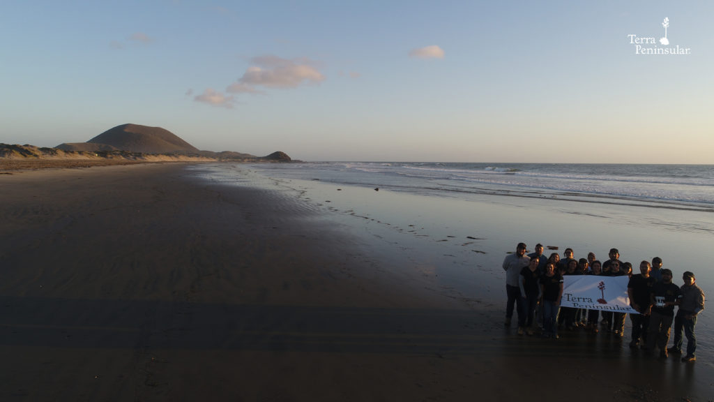 The Terra Peninsular team poses along one of the beaches they work on in Ensenada, Mexico (© Terra Peninsular).