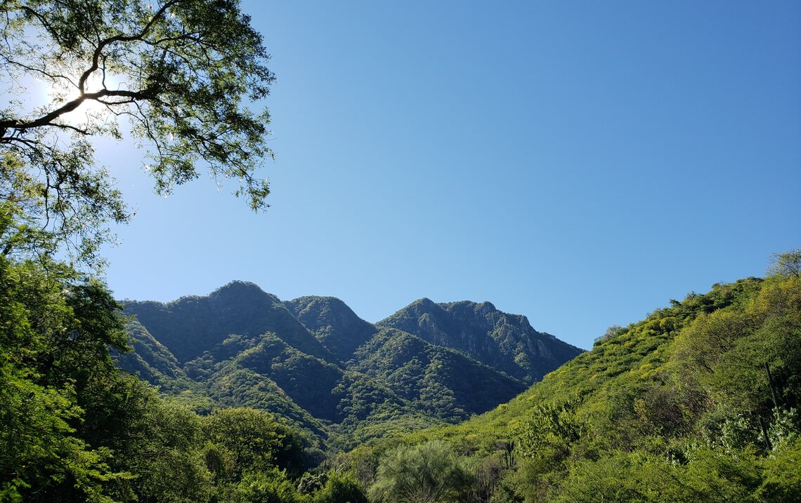 Vista mirando hacia el Área Destinada Voluntariamente a la Conservación, Parque la Colorada en Álamos, México.