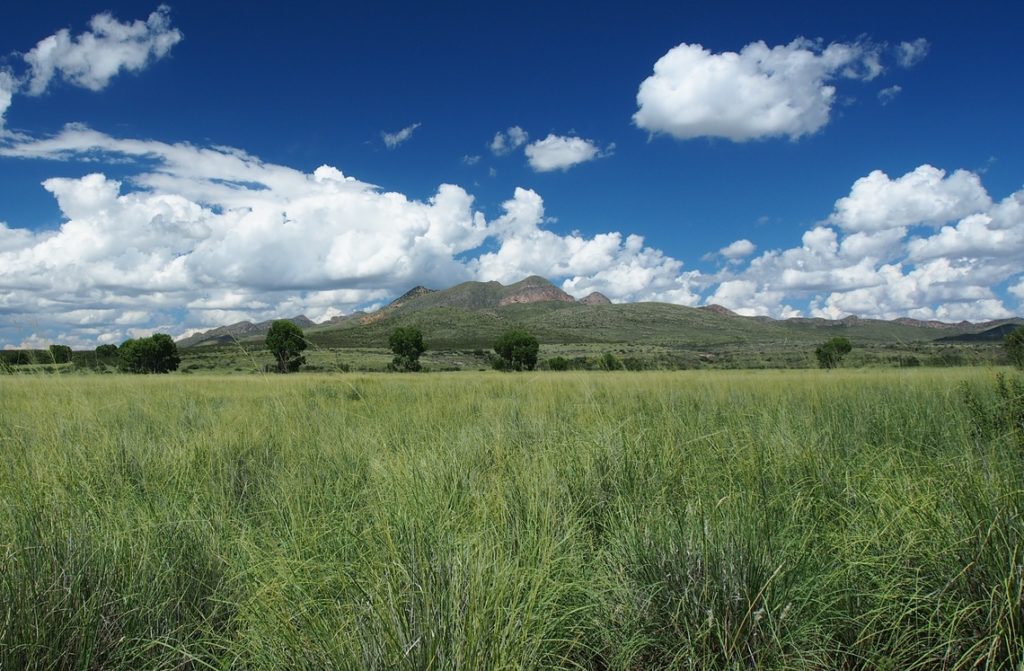 Babacomari Ranch (photo courtesy of AZLWT).