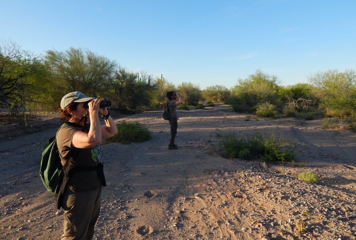 En asociación con NPS y AZDGF, los participantes de la expedición AZFO estudiaron aves en el Monumento Nacional Organ Pipe Cactus en el 2015 (foto cortesía de Eric Hough).
