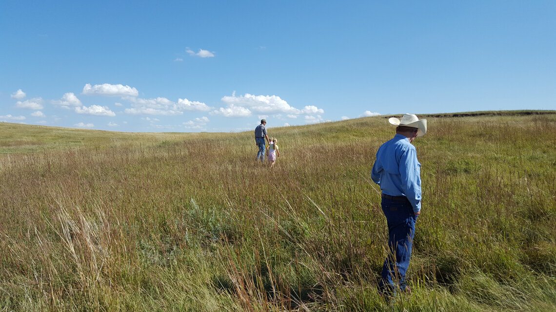 rancher stands in rolling grasslands