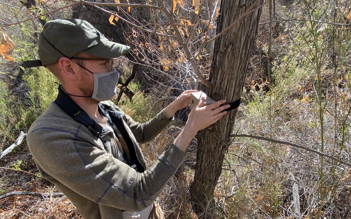 Biologist Jerry Cole installs an ARU at a target area for bird monitoring (photo courtesy of The Institute for Bird Populations).