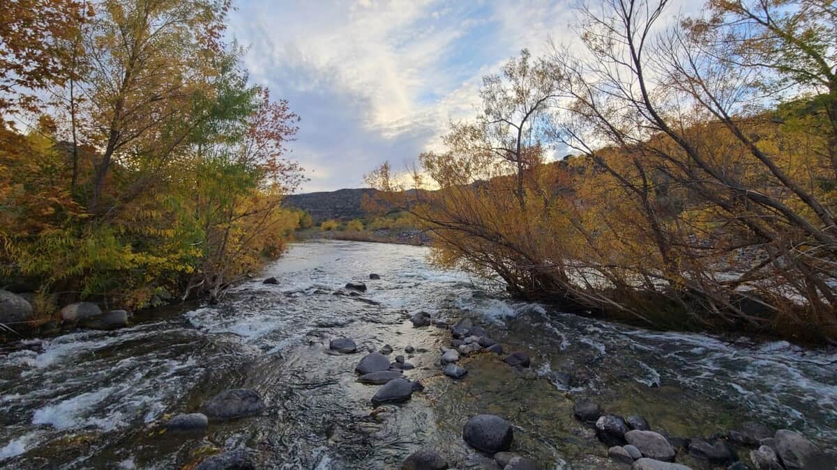 The Verde River is one of the few remaining perennially flowing rivers in Arizona.