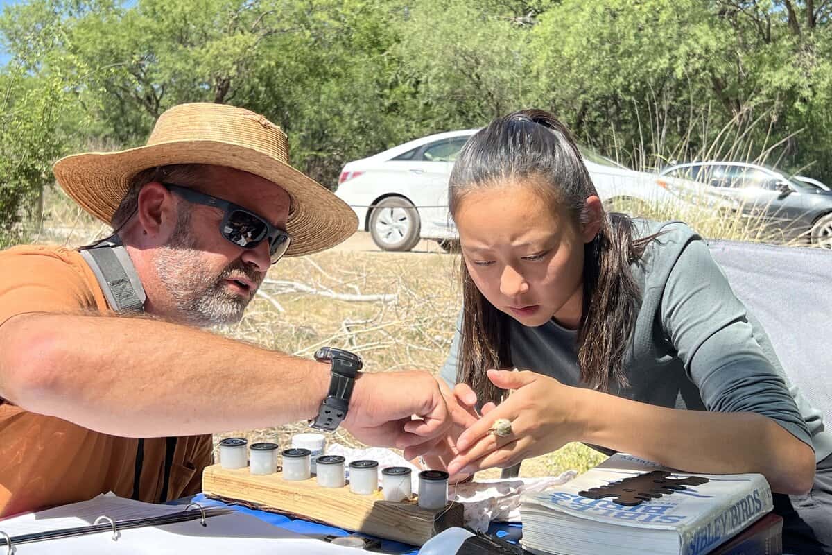 El coordinador de ciencias del SJV, Adam Hannuksela, le enseña a la becaria de USFWS, Grace Hassing, las técnicas sin peligro de manipulación de aves y estudio de la muda.
