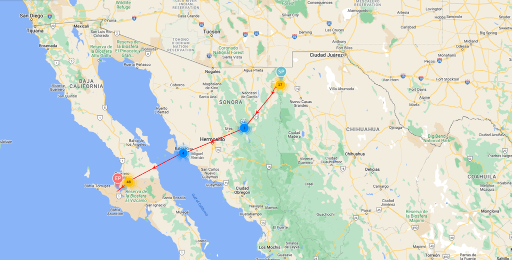 Mapa que muestra el movimiento de un tecolote llanero marcado desde Chihuahua hasta Baja California Sur México. 