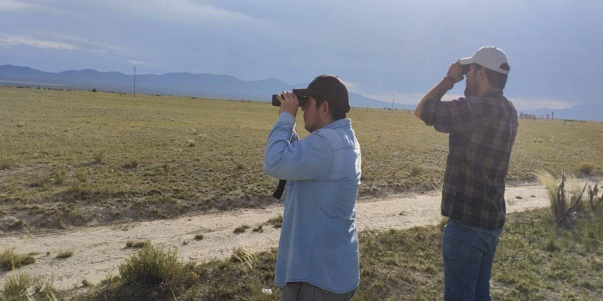 Two people stand in a field with binoculars, looking for owls in burrows.