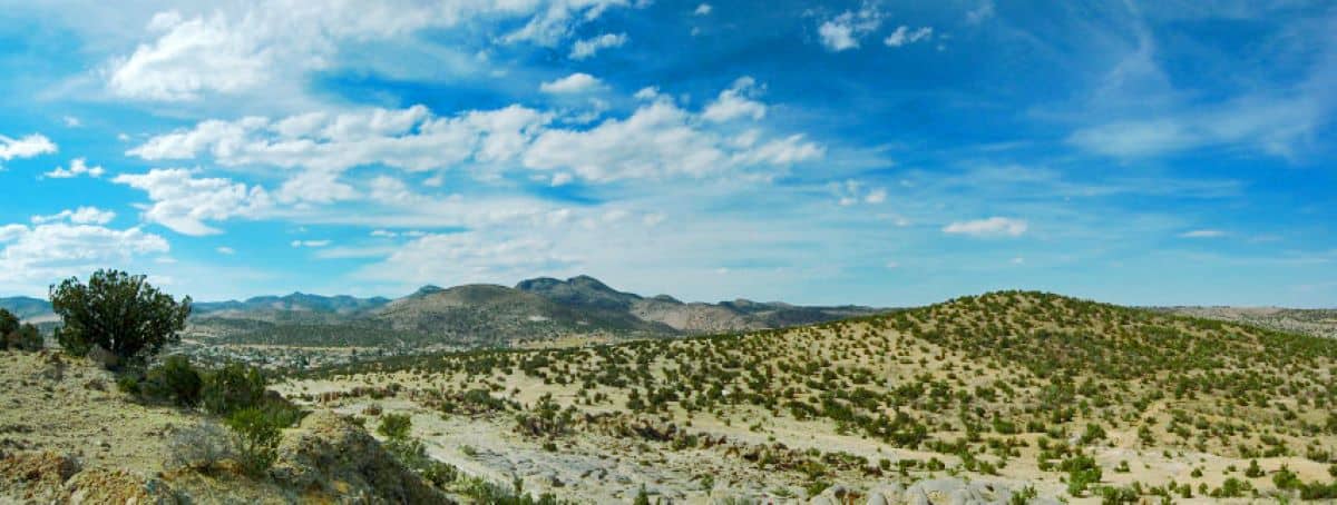 wide landscape of brushy habitat with hills in the background and a blue sky with white clouds.